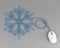 Snowflake depicted with computer mouse cable