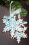 Snowflake gingerbread cookies