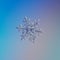 Snowflake glittering on light blue background