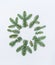 Snowflake made with fir branches on white desk background.