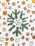 Snowflake made with fir or pine branches and dried fruits and spices on white desk background. Creative layout for Christmas