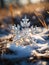 Snowflake Melting on Grass: A Winter\\\'s Ephemeral Beauty