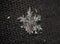 Snowflake shining at dark material