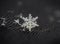 Snowflake shining star at black background