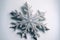 a snowflake is shown on a white background with a blue background and a white background with a blue background and a wh
