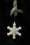 Snowflake star in tree