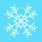 Snowflake Twin Crystal Symbol Vector Illustration