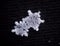 Snowflake white and shiny couple macro