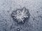 Snowflakes on blue frozen windowpane close up