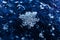 Snowflakes close-up. Macro photo.