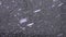 Snowflakes fall on gray asphalt, above view. First snowfall.