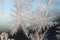 Snowflakes frost rime macro on window glass pane