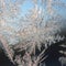 Snowflakes frost rime macro on window glass pane