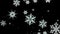 Snowflakes rotate and form a circle on a transparent background. Video with alpha channel