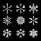 Snowflakes vector set. white snow flake icon set