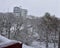 It is snowing, it has covered the trees and the ground of a Belgrade park