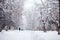 Snowing landscape in the park with people passing by