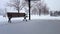 Snowing Scene With Park Bench in Day. Snowy Landscape With Public Park Architecture Under Overcast Clouds