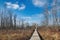 On a snowless Winter day in Wisconsin, a boardwalk passes through a field and a forest of bare trees.