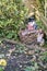 Snowman behind a rustic wicker basket outdoors