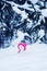 Snowman in a bright pink hat sitting in a white snowdrift with a gift in the winter new year`s Park under the elegant