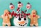 Snowman cake pops and gingerbread man cookies