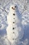 Snowman creature standing in winter landscape