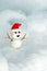 Snowman Doll wearing Red Hat