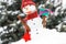 Snowman with gift for Christmas or Valentine on background of coniferous tree covered snow