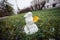 Snowman grass with yellow leaf. Funny wide angle picture.