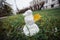 Snowman grass with yellow leaf. Funny wide angle picture.