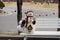 A snowman holding a welcome sign on a white bench on the side of the road