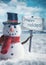 Snowman holding wooden sign