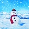 Snowman Outdoors White Scenery Christmas Celebration Concept