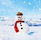 Snowman Outdoors White Scenery Christmas Celebration Concept