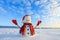 The snowman in plaid scarf, red hat, gloves and icicle in the hand. Nice landscape with the mountains on the background.