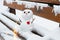 Snowman with a red heart on a snowy bench