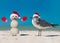 Snowman and Seagull on the beach. Sandy Christmas snowman and Seagull bird in red Santa hat at the beach.