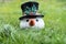 Snowman after snowmelt in the grass