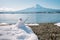 Snowman standing in winter landscape on fuji moutain background