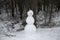 A snowman stands in the snow.Fun and recreation in winter