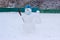 Snowman wearing medical face mask against the snow-covered trees