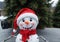 A Snowman Wearing A Santa Hat, With A High Camera Angle. Generative AI