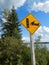 Snowmobile Crossing Sign During the Summer