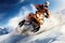 Snowmobile rider in high mountains. Extreme snowmobiling sport, Extreme rider jumping with a snowmobile on the snow, Face covered