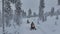 Snowmobile safari in finnish toundra filmed by a drone