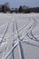 Snowmobile Tracks in Snow During Winter