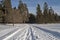 Snowmobile trail in winter forest