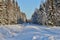 Snowmobile trails through the woods