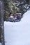 Snowmobilers ride on a trail on Bald Mountain, Rangeley, Maine.